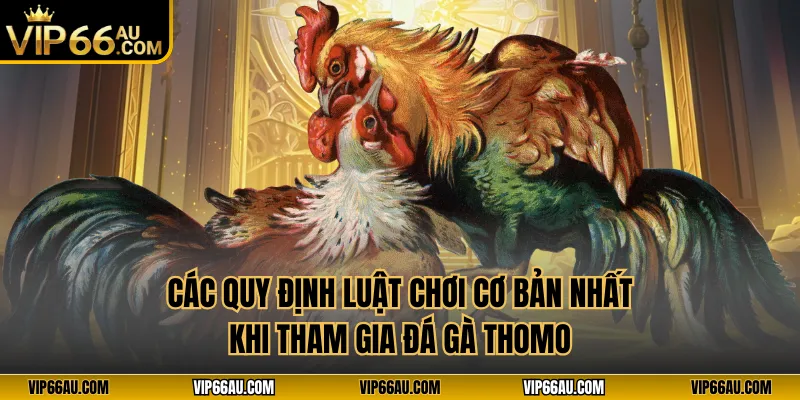 Các quy định luật chơi cơ bản nhất khi tham gia đá gà thomo