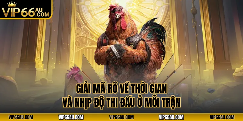 Giải mã rõ về thời gian và nhịp độ thi đấu ở mỗi trận