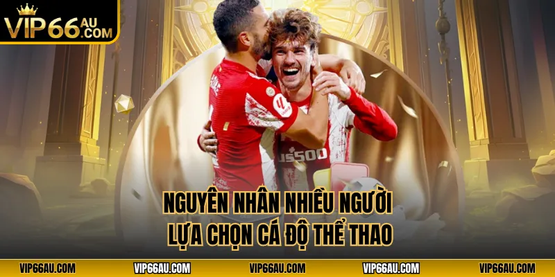 Nguyên nhân nhiều người lựa chọn cá độ thể thao