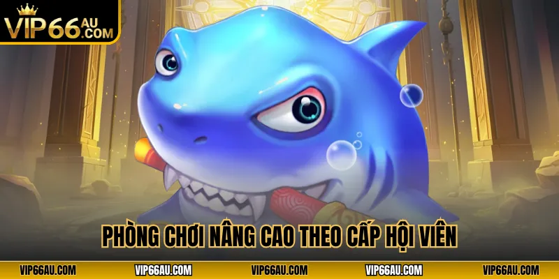 Phòng chơi nâng cao theo cấp hội viên