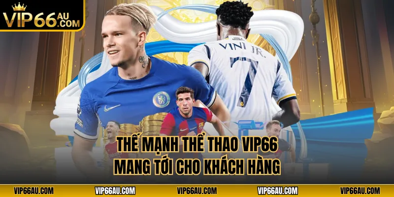 Thế mạnh thể thao VIP66 mang tới cho khách hàng