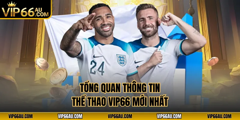 Tổng quan thông tin thể thao VIP66 mới nhất